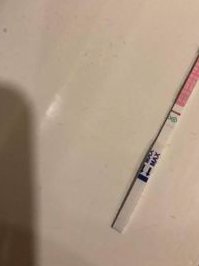 山东省中医院试管婴儿新指南，2026年费用与流程全解析