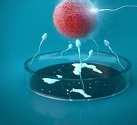 做了试管婴儿移植手术会对女性的子宫健康有什么影响吗？