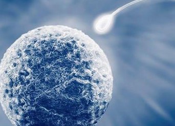 哈萨克斯坦试管婴儿费用概览，全程费用一览无遗